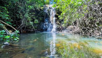 590  Kuiaha Rd , Haiku home - photo 6 of 42