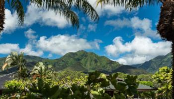 6  Loihi Pl Maui Lani, Kahului home - photo 6 of 30