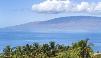 60  Huapala Pl Manalua Nui,  home - photo 1 of 50