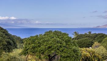 La'i Loa condo # 202, Kihei, Hawaii - photo 5 of 50