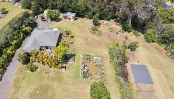 60  Naniuka Pl Olinda/ Makawao, Makawao/Olinda/Haliimaile home - photo 3 of 45