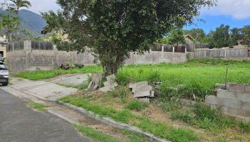 60 Wilikona Pl  Wailuku, Hi vacant land for sale - photo 4 of 7