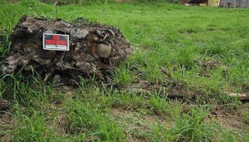 60 Wilikona Pl  Wailuku, Hi vacant land for sale - photo 5 of 7