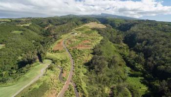 600 Mahana Ridge St 35 Lahaina, Hi vacant land for sale - photo 5 of 6