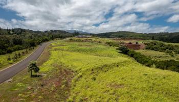 600 Mahana Ridge St  Lahaina, Hi vacant land for sale - photo 2 of 8