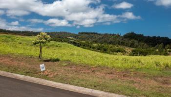 600 Mahana Ridge St  Lahaina, Hi vacant land for sale - photo 3 of 8