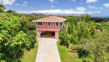 605  Kaupakalua Rd , Haiku home - photo 2 of 44