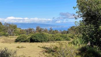 606B  Olinda Rd Lower Olinda, Makawao/Olinda/Haliimaile home - photo 2 of 28