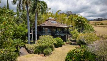 606B  Olinda Rd Lower Olinda, Makawao/Olinda/Haliimaile home - photo 4 of 28