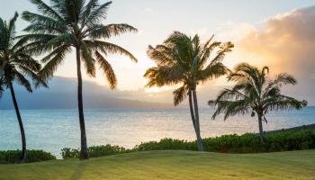 61 Aleiki Pl  Paia, Hi vacant land for sale - photo 6 of 18