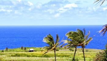 610 Kai Huki Cir Opana Point  - photo 3 of 10