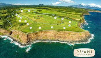 610 Kai Huki Cir Opana Point  - photo 6 of 10