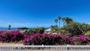 614  Kupulau Pl , Maui Meadows home - photo 5 of 32