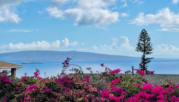 614  Kupulau Pl , Maui Meadows home - photo 5 of 32