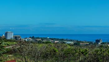 62  Moolu St Waiolani Mauka, Wailuku home - photo 2 of 44