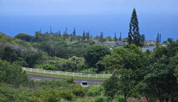 63 Lahaole Pl 19 Wailuku, Hi vacant land for sale - photo 1 of 40