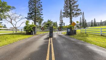 63 Lahaole Pl 19 Wailuku, Hi vacant land for sale - photo 3 of 40