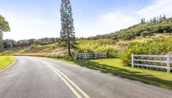 63 Lahaole Pl 19 Wailuku, Hi vacant land for sale - photo 6 of 40