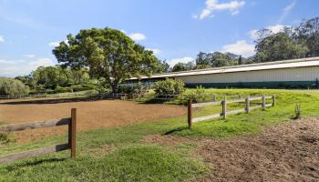 630  Olinda Rd Olinda, Makawao/Olinda/Haliimaile home - photo 3 of 28