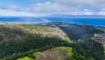 640 Mahana Ridge St 39 Lahaina, Hi vacant land for sale - photo 2 of 20