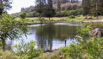 Villas At Koele II condo # 7D, Lanai City, Hawaii - photo 2 of 29