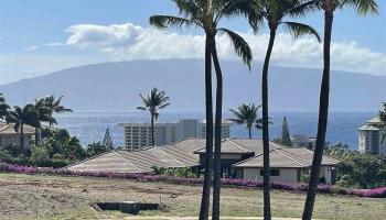 65 Lolii Pl  Lahaina, Hi vacant land for sale - photo 3 of 10
