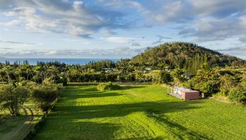 65 Uakoko Pl  Haiku, Hi vacant land for sale - photo 1 of 17