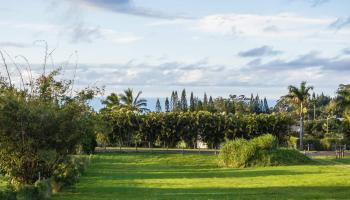 65 Uakoko Pl  Haiku, Hi vacant land for sale - photo 2 of 17