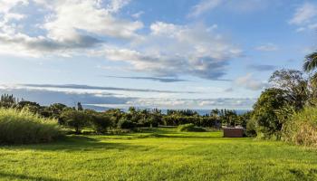 65 Uakoko Pl  Haiku, Hi vacant land for sale - photo 3 of 17