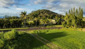 65 Uakoko Pl  Haiku, Hi vacant land for sale - photo 4 of 17