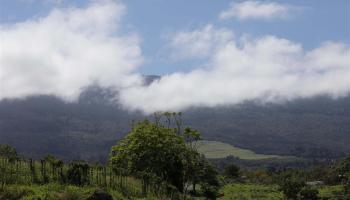 650 Calasa Rd A Kula, Hi vacant land for sale - photo 6 of 26