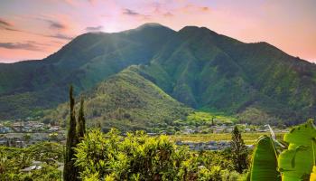 Kehalani Gardens condo # 701, Wailuku, Hawaii - photo 1 of 49