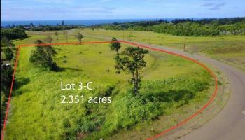 665 Kauaheahe Pl Lot 3-C Haiku, Hi vacant land for sale - photo 3 of 7