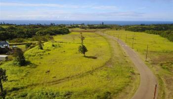 665 Kauaheahe Pl Lot 3-C Haiku, Hi vacant land for sale - photo 4 of 7