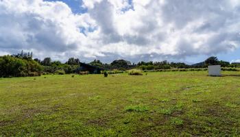 674 Kauaheahe Pl Unit A Haiku, Hi vacant land for sale - photo 3 of 22