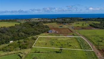 675 Kauaheahe Pl A Haiku, Hi vacant land for sale - photo 2 of 14