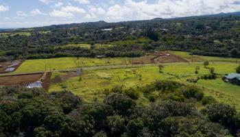 675 Kauaheahe Pl A Haiku, Hi vacant land for sale - photo 3 of 14