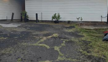 684  Kaulu Pl , Kahului home - photo 2 of 18