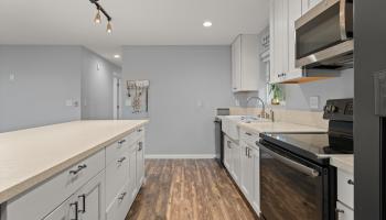 685  Upper Ulumalu Rd , Haiku home - photo 3 of 34