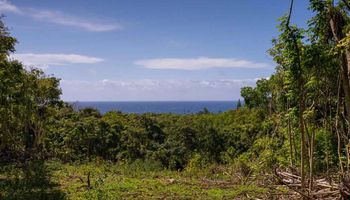 6870 Hana Hwy Lot 11 Hana, Hi vacant land for sale - photo 3 of 10