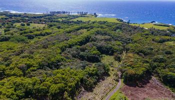 6870 Hana Hwy Lot 11 Hana, Hi vacant land for sale - photo 5 of 10