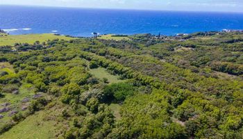 6870 Hana Hwy Lot 11 Hana, Hi vacant land for sale - photo 6 of 10