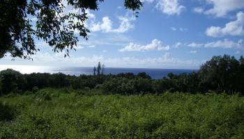 6870 Hana Hwy Lot 3 Hana, Hi vacant land for sale - photo 4 of 9