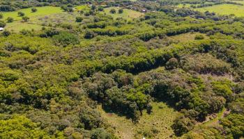 6870 Hana Hwy Lot 3 Hana, Hi vacant land for sale - photo 5 of 9