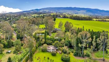 690  Olinda Rd Seabury, Makawao/Olinda/Haliimaile home - photo 2 of 50