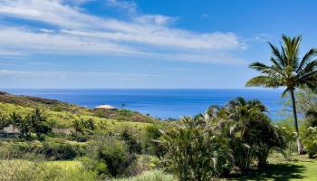 70  Wailau Pl Launiupoko, Lahaina home - photo 2 of 43