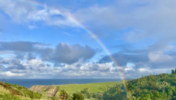 700  Honopou Rd Twin Falls, Haiku home - photo 2 of 50