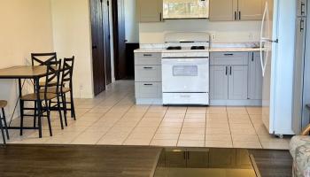 Wavecrest condo # B205, Kaunakakai, Hawaii - photo 6 of 19