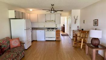 Wavecrest condo # B306, Kaunakakai, Hawaii - photo 6 of 33