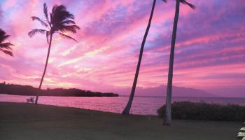 Wavecrest condo # C202, Kaunakakai, Hawaii - photo 4 of 23